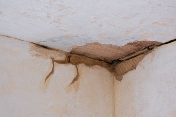 Best Professional water damage repair  in Village Shires, PA