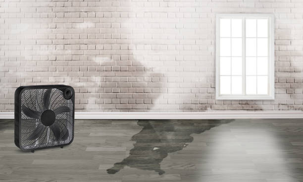 Best 24-hour water damage restoration  in Village Shires, PA
