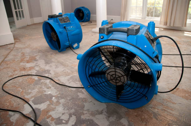 Best 24-hour water damage restoration  in Village Shires, PA