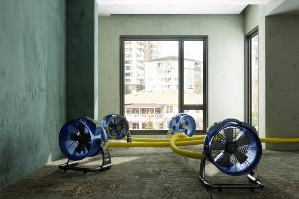 Best Water damage restoration mold remediation  in Village Shires, PA